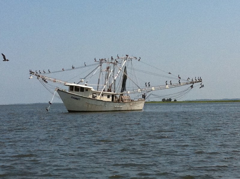 fishing boat near Savannah