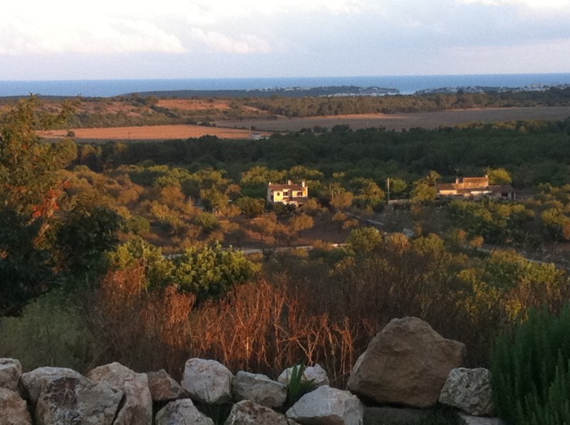 View towards the coast