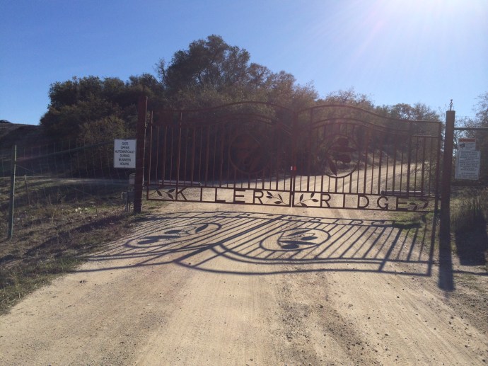 Kiler Ridge Olive Farm