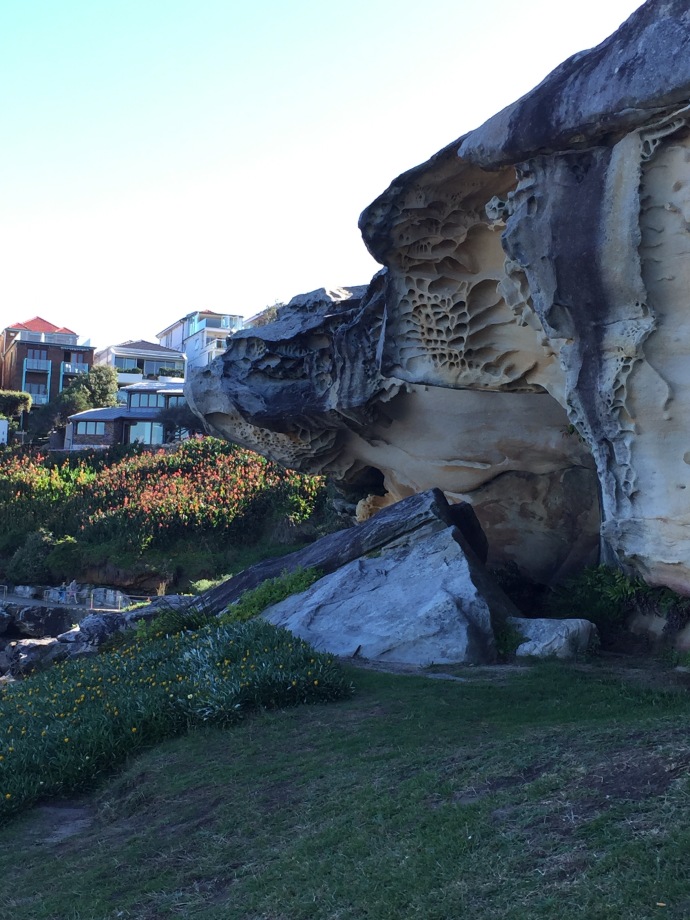 Cool rock formations on the Coastal Walk, Bondi