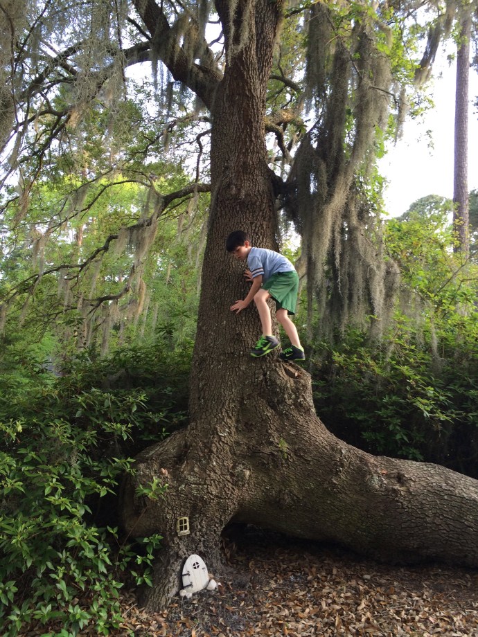 Waiting to see the elf